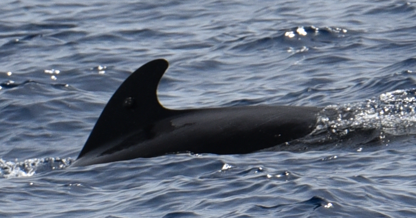 Cabo verde1
