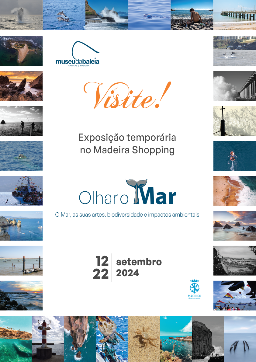 Cartaz Md. Shop